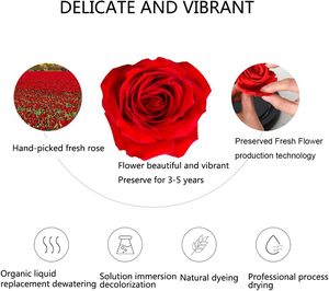 Grand dôme en verre ange avec rose éternelle pour Noël ou la fête des mères Grand-mère Fille Sœur - Product Image 5