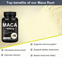 Capsules Maca Energy Plus, complément alimentaire pour la santé reproductive des adultes, capsules de racine de maca pour hommes, endurance naturelle, vente en gros OEM