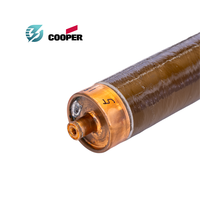 Fusible de protection de secours à limitation de courant ELSP Cooper 23 kV 2 pouces pour transformateur de distribution immergé dans l'huile monté sur socle de sous-station