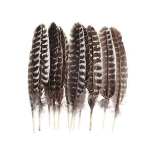 Plumes <span class=keywords><strong>d</strong></span>'ailes de dinde sauvage naturelles de 25-30 cm en gros pour l'artisanat DIY, coiffures indiennes, <span class=keywords><strong>d</strong></span>écorations <span class=keywords><strong>d</strong></span>'ailes <span class=keywords><strong>d</strong></span>'ange - Product Image 1
