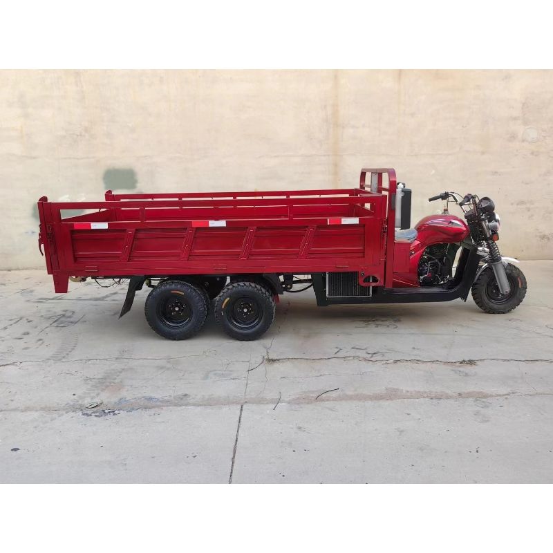 Top China 300CC Cargo Tricycles Durable Efficient