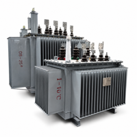 Transformateur de distribution immergé dans l'huile entièrement scellé S13-M 80 kVA 10 kV pour l'alimentation électrique des usines industrielles