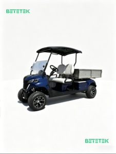 Carrito de Golf Eléctrico de 2 Plazas con Autonomía de 50-70 km/h, Capacidad de Subida del 20-25%, Neumáticos de 12 Pulgadas, Certificado CE/GCC para Carreteras No Públicas - Product Image 3