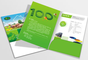 Tùy chỉnh thiết kế túi bên trong tên chủ thẻ công ty quảng cáo A4 giấy tài liệu trình bày thư mục tập tin - Product Image 2