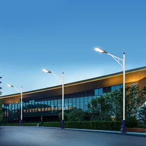 โรงงานส่งออก โคมไฟถนนพลังงานแสงอาทิตย์เหล็ก ขนาด 6ม. 8ม. 10ม. 12ม. ขายดี ทนทาน สีตามสั่ง <span class=keywords><strong>ราคา</strong></span>โรงงาน - Product Image 1