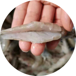 Máquina de apertura de corte trasero pelado de gambas automática eléctrica profesional - Product Image 6