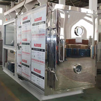 Automatische Commerciële Goedkoopste Industriële Voeding Fruit En Groente Lyofilisator Vriesdroger Lyofilisatie Machine Prijs