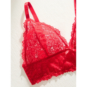 Completo Intimo Sexy Rosso in Pizzo Liscio <span class=keywords><strong>con</strong></span> Reggiseno Push-up e <span class=keywords><strong>Minimizer</strong></span> per Taglie Forti - Product Image 3