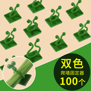 Support mural pour plantes grimpantes Green Ivy, clip adhésif, installation sans perçage, 100 pièces - Product Image 1