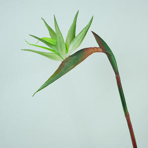 GZYX007 reali Touch artificiali tropici fiori morbido PVC Strelitzia artificiale uccello del paradiso pianta fiore decorazione per la tavola della casa - Product Image 5