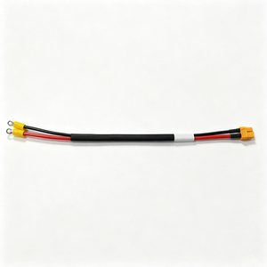 Chargeur de contact RX avec faisceau de câblage à connecteur femelle XT60 et 2 bornes annulaires pour la charge de batterie de robot - Product Image 5