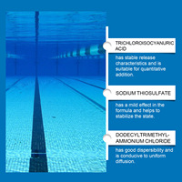 Solution Liquide Clarifiante pour Piscine HozoneX 100ml – Détergent à Dissolution Rapide Élimine les Odeurs et la Saleté – Nettoie l'Eau de la Piscine