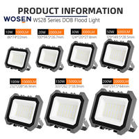 Projecteurs LED en aluminium antidéflagrants IP65 10W-200W pour stades sportifs extérieurs Éclairage haute puissance étanche 1 an