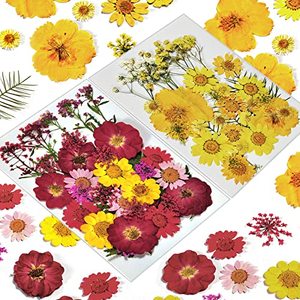 Assortiment <span class=keywords><strong>de</strong></span> feuilles florales séchées naturelles pour kit d'artisanat DIY, pour la résine, la fabrication <span class=keywords><strong>de</strong></span> téléphones, <span class=keywords><strong>de</strong></span> savons, <span class=keywords><strong>de</strong></span> bougies et <span class=keywords><strong>de</strong></span> bijoux - Product Image 1