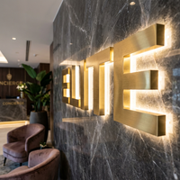 Letras de Acero Inoxidable con Retroiluminación LED 3D Personalizadas para Negocios Profesionales, Logotipo Iluminado para Montaje en Pared de Oficina