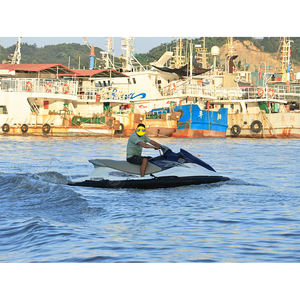 Poste de Protección Profesional para Moto Acuática, PWC, Bote Inflable y Kit de Protección para Embarcaciones Neumáticas - Product Image 2