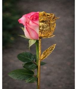 ดอกกุหลาบธรรมชาติเคลือบทอง 24K บรรจุภัณฑ์หรูหรา ของตกแต่งดอกไม้จริง ของขวัญสำเร็จการศึกษา วันพ่อ งานแต่งงาน ของขวัญสุดโรแมนติก - Product Image 1
