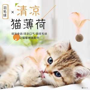 Nouveau jouet léger de décompression en plumes pour chats, pour le nettoyage des dents, à mâcher, comestible, à la catnip rafraîchissante, jouet multi-plateformes pour animaux de compagnie - Product Image 3