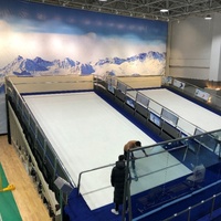 Chine oem gym fitness machine simulateur de ski équipement