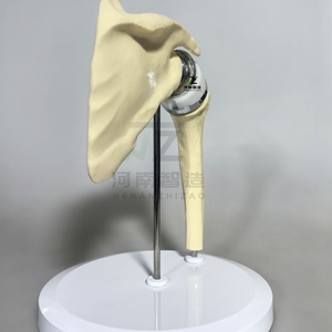 2025 New Chất lượng cao nhân tạo Vai Doanh chỉnh hình đào tạo mô hình đào tạo y tế mô hình - Product Image 5