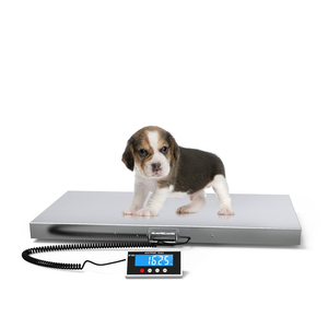 Báscula de Piso Electrónica de Alta Resistencia Veidt, Báscula Digital para Envíos Postales, Paquetes, Mascotas, SF-809, Medidas Altas hasta 80 kg - Product Image 3