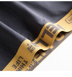 Slip Sexy Mid-Rise <span class=keywords><strong>mutande</strong></span> elasticizzate traspiranti <span class=keywords><strong>in</strong></span> pantaloncini di biancheria intima Calzoncillos Para Hombres <span class=keywords><strong>uomo</strong></span> - Product Image 5