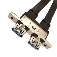 Slimline Cable PCI-E Ultraport SAS Motherboard Header IDC 20pin a Dual USB3.0 Cable DE DATOS DE EXTENSIÓN Flat Pc Motherboard Cable