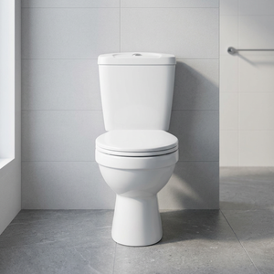 Arabic Irani S Type Two Piece WC Ceramic Water Closet Dual Flush Concealed Cistern Washdown Toilet - Product Image 6