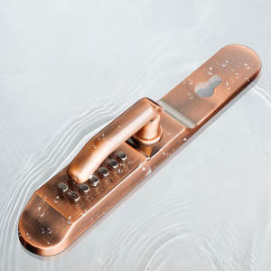 <span class=keywords><strong>Recherche</strong></span> de fournisseurs chinois Serrure de <span class=keywords><strong>porte</strong></span> <span class=keywords><strong>d</strong></span>'<span class=keywords><strong>entrée</strong></span> sans clé étanche à l'eau Serrures de <span class=keywords><strong>porte</strong></span> <span class=keywords><strong>d</strong></span>'<span class=keywords><strong>entrée</strong></span> universelles pour portes en bois - Product Image 6