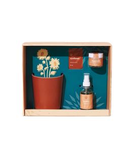 Kit de plante de parfum de bougie brillante, vente en gros, kit de fabrication de bougie parfumée, Kit de positivité rayonnante, bougie DIY dans un pot de <span class=keywords><strong>jardinière</strong></span> - Product Image 1