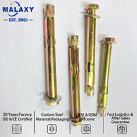 Malaxy M8 M10 304SS Boulon d'ancrage à expansion électrogalvanisé avec manchon pour fixation murale en maçonnerie