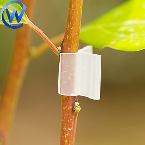 Agriculture Mini Plantes Greffé Silicone Tube Transparent <span class=keywords><strong>Tomate</strong></span> Greffage Clip 2.5 Mm Papillon Clip pour <span class=keywords><strong>Tomate</strong></span> Greffeur - Product Image 2