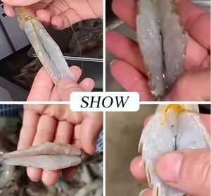 小型インテリジェントオープンバックエビ切断機 食品加工用スマート食肉加工機械 - Product Image 5