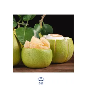 Vietnamese Sweet with High Quality Pomelo Fruit Wholesale Green-Skinned Pomelo