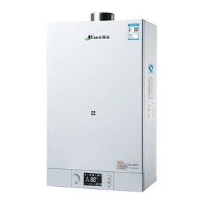 Fornecedor profissional Wall Mounted Gás Water Heater Caldeira Instantânea Tankless Gás Caldeira