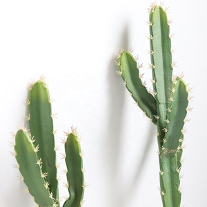 Piante Artificiali di <span class=keywords><strong>Cactus</strong></span> e Bonsai in Plastica - Decorazione Realistica Alta per Ufficio Resistente all'Acqua ed Ecologica - Product Image 4