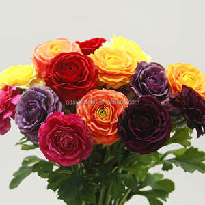 B-594 <span class=keywords><strong>Comprar</strong></span> al por Mayor Decoración para el Hogar, Peonías de Loto, Flores Decorativas Artificiales de Tacto Real, Peonías de Loto Rojas, Flor Artificial de Loto - Product Image 2