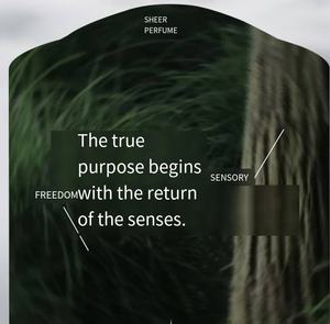 Rhyme du Thé Oriental & Notes Fruitées Unisexe, Parfums Naturels Exotiques, Conçu pour les Professionnels Européens/Americains âgés de 24 à 45 ans - Product Image 6