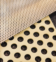 Grille de protection de radiateur en acier inoxydable, fer galvanisé, aluminium, grillage perforé pour gouttières anti-feuilles