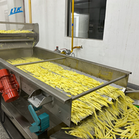 Ligne de production de frites surgelées entièrement automatique industrielle pour la fabrication de frites de pommes de terre et de fruits, capacité personnalisée