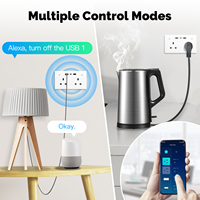 Tuya WiFi prise murale intelligente prise britannique 13A interrupteur tactile USB Type C Ports de charge surveillance de l'énergie à distance fonctionne avec Alexa