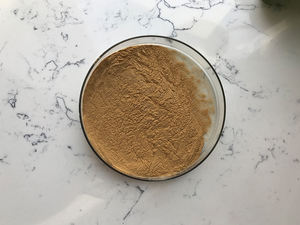 Harga Bersaing 7% Ekstrak Serbuk Silika Organik Horsetail - Product Image 4