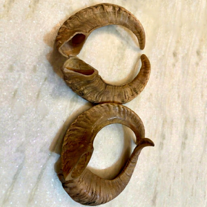 Shofar de cuerno de carnero Kudu, shofar de cuerno de carnero pulido, shofar artesanal natural, instrumento shofar de cuerno de carnero, shofar de cuerno de Kudu judío - Product Image 1