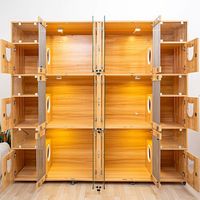 Cage de présentation pour chat en bois pour animaux vétérinaires
