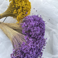 Produit le plus vendu : Fleurs séchées, petite fleur étoilée, étoile brésilienne pour la remise des diplômes, Noël et le Nouvel An chinois