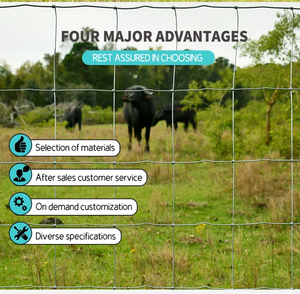 Joint de charnière de champ de ferme galvanisé à haute résistance XG clôturant/clôture de bétail/clôture de fil de porc - Product Image 3
