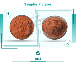 JHD Supplément de santé de haute qualité 5% poudre d'extrait de fleur de souci de lutéine poudre d'extrait de souci - Product Image 3