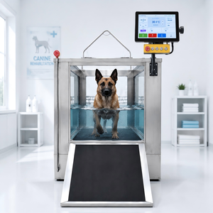 Cinta de correr subacuática para rehabilitación canina de perros grandes, para recuperación de LCA, hidroterapia y rehabilitación veterinaria. En oferta. - Product Image 1