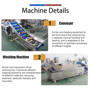 2000-300KG/H Industrial Customized Coconut Bubble Washing <b>Machine</b> Coconut Meat Washer <b>Machine</b> for Coconut <b>Process</b> - Product Image 2
