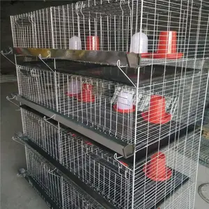 layer breeder cages